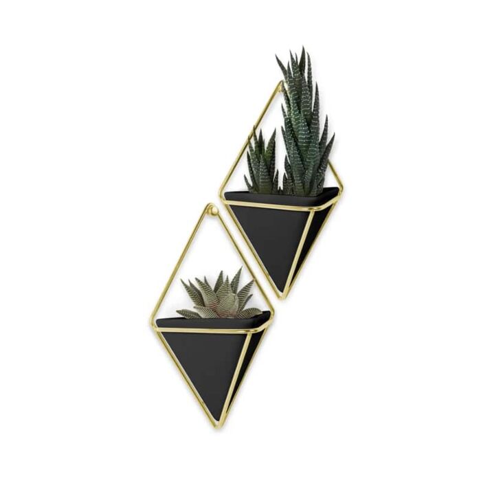 Umbra - Trigg Wall Display - Black Brass - Small